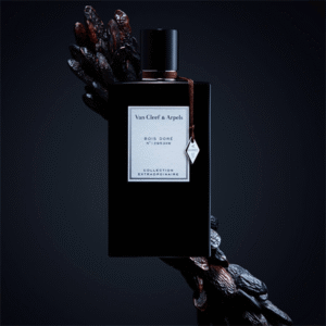عطر بويس دور من فان كليف اند اربلز - او دي بارفيوم